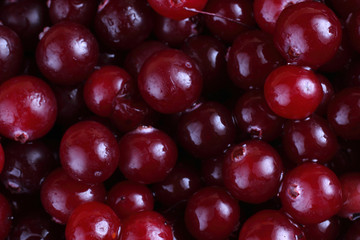Cranberry background