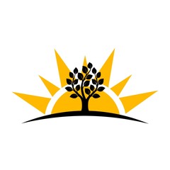 Tree silhouette icon with sun isolated on white background