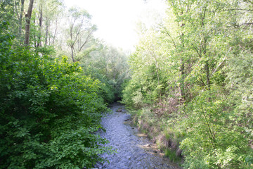 In dem Foto sind Bäume und ein kleiner Bach zu sehen.
Das Foto wurde auf der Donauinsel, in Österreich aufgenommen.