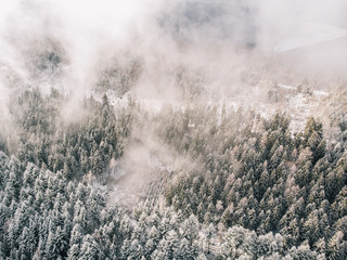 Luftaufnahme einer mit Schnee bedeckten Waldfläche im Nebel mit vielen Tannenbäumen im Winter