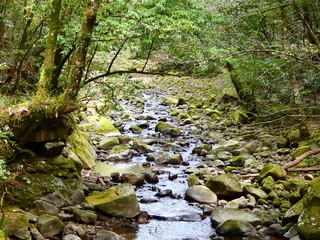 Obraz premium 猪八重渓谷