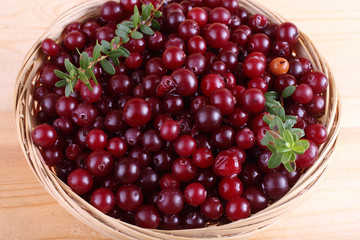 Cranberry on table