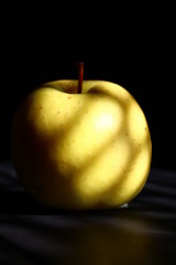 golden apple on black background