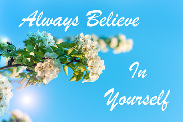 Always Believe in Yourself card. Wild Pear tree blossom. Horizontal banner with white flowers on...
