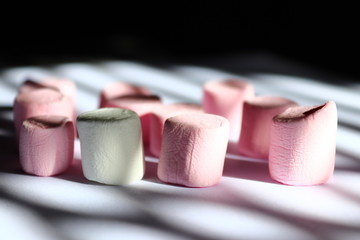 close up of a candy cane