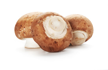 champignon mushroom isolated on white background