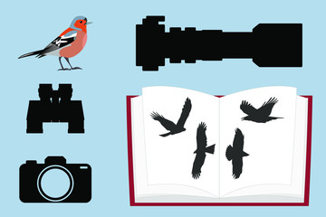Birding set: bird, camera, binoculars, telephoto lens, guide, encyclopedia, isolated . Vector stock illustration.