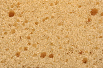 Yellow sponge detail texture background