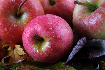 Apples on autumn leaves