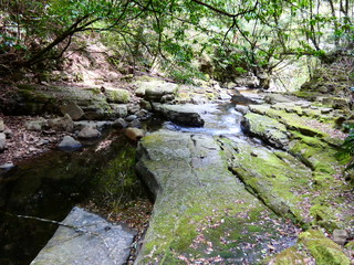 Obraz premium 猪八重渓谷