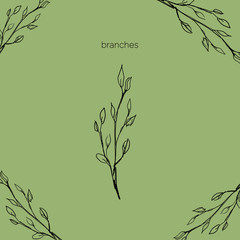 Hand drawn branch sketch. Botanical illustration fod design textile, card, pattern, poster, packaging, label, logo.floral hand drawn logo template in elegant and minimal style