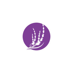 Lavender Logo Template vector symbol