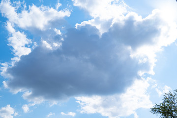 In sunny spring summer, clouds float on blue sky. 