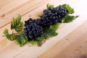 Black wine grape