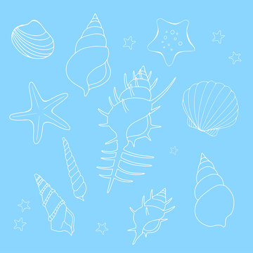 貝殻のイラストセット　白線、青背景