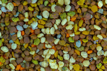 Freshly picked multi-colored bee pollen close-up. bee pollen texture, background