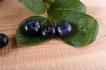 Blueberry harvest
