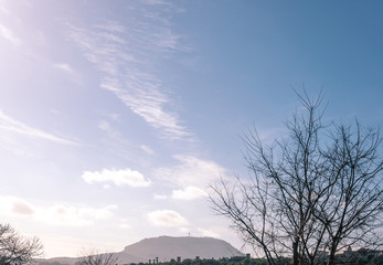 General view of the interior landscape of the island of Mallorca