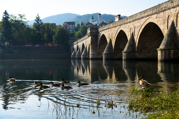 Ducks in Drina river, near the Ottoman Mehmed Pasa Sokolovic Bridge in Visegrad, Bosnia and Herzegovina.