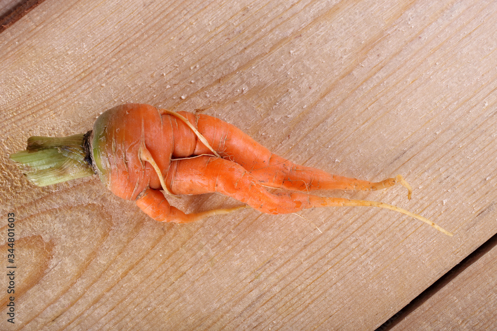 Wall mural funny carrots