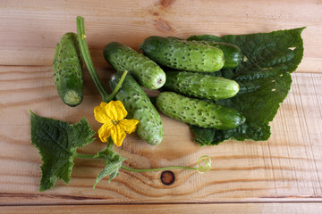 Cucumbers on table