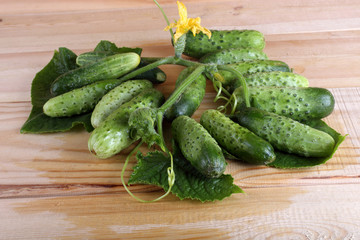 Cucumbers on table