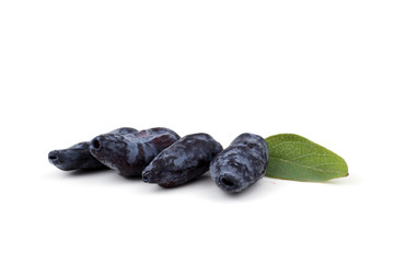 Haskap berry isolated on white