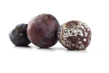 Rotten plums isolated on white