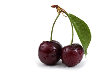 Cherry isolated on white background