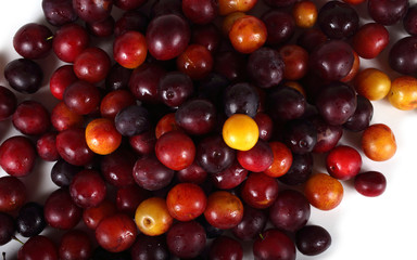 Different plum varieties