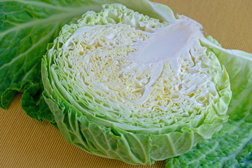 cabbage angel handled his wings