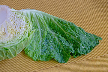 cabbage angel handled his wings