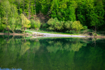 Kupa river in Pokupsko, Croatia