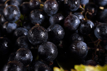 Black grape background