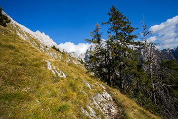 Julian Alps landscape under Prisojnik peak