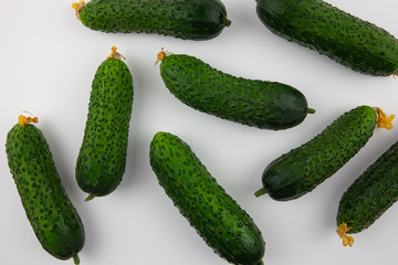 Beautiful, fresh, green cucumbers for salad on a white background. For presentation of agricultural activities or food products.