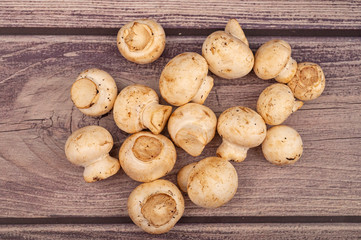 Young mushrooms scattered on a wooden background. Close up.