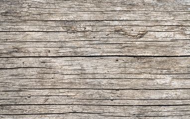 Fototapeta premium .background of old dried board.
