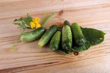 Cucumbers on table