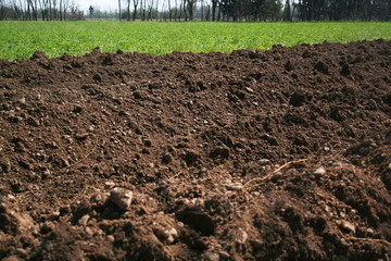 Freshly plowed field in the italian countryside on springtime. Agricultural field on a sunny day
