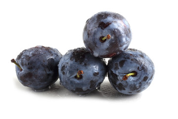 Black plums isolated on white