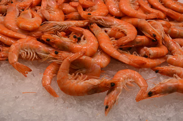 Many red raw fresh shrimps ready to be cooked, displayed for sale at Mercado Central food market in Valencia, Spain, top view of flat flay of healthy food photographed with soft focus
