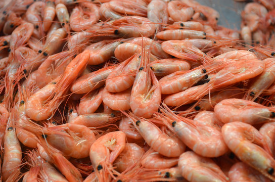 Many red raw fresh shrimps ready to be cooked, displayed for sale at Feskekorka fish market in Gothenborg, Sweden, top view of flat flay of healthy food photographed with soft focus
