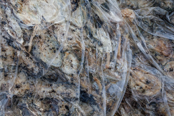 Rotten cucumbers in plastic sacks