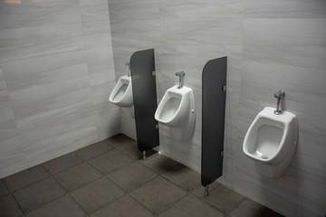 Modern public toilet room: the urinal