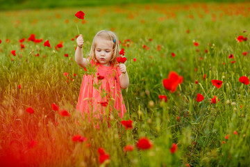 Beautiful child picking flowers in poppy field