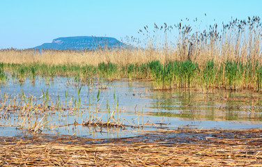 Landsape of Lake Balaton , Hungary ( selective focus )