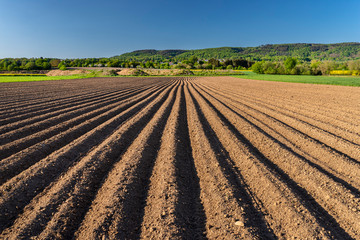 Plowed soil for planting potatoes, visible even rows of soil and sharp shadow of the sun.