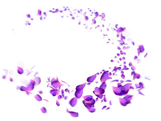 Many flower petals blown 3d