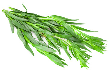 Bunch of tarragon leaves isolated on white background. Artemisia dracunculus